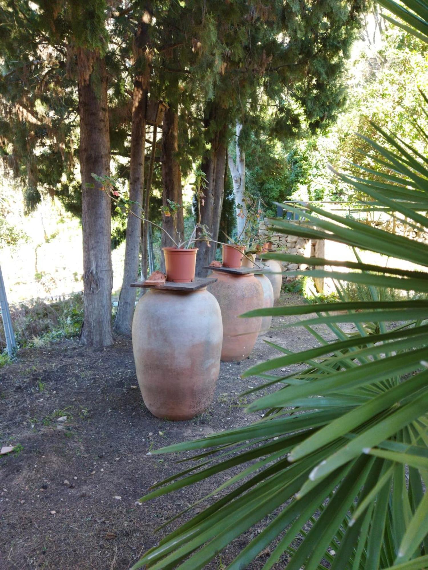 Casa Bienvenida - Carcaixent Bed & Breakfast Exterior photo