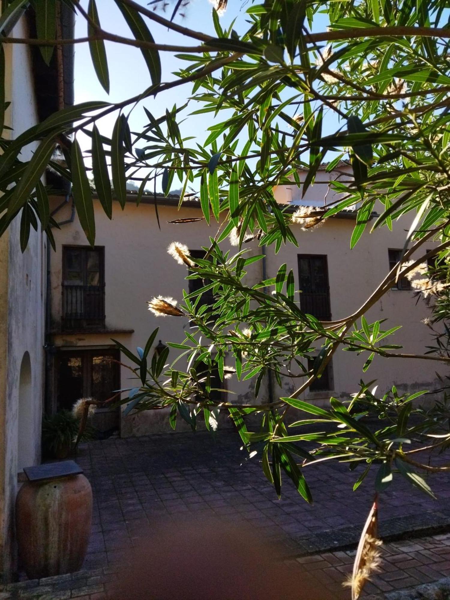 Casa Bienvenida - Carcaixent Bed & Breakfast Exterior photo